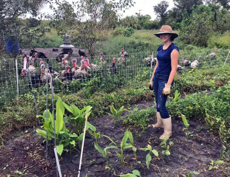 Tending the Garden with turkeys in the background